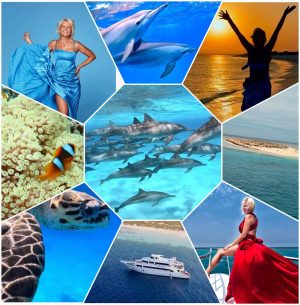 delfiny_Marta Mądrość delfinów - jak odzyskać spokój i lekkość życia - 29.03.2026 POZNAŃ