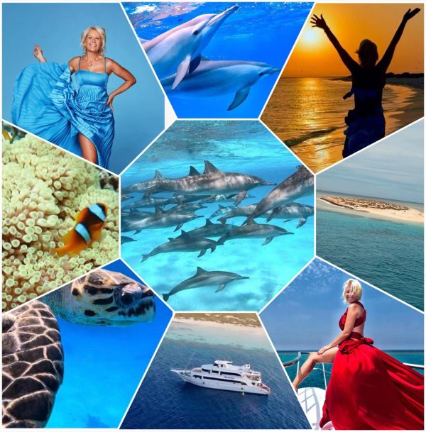 Mądrość delfinów - jak odzyskać spokój i lekkość życia - 29.03.2026 POZNAŃ